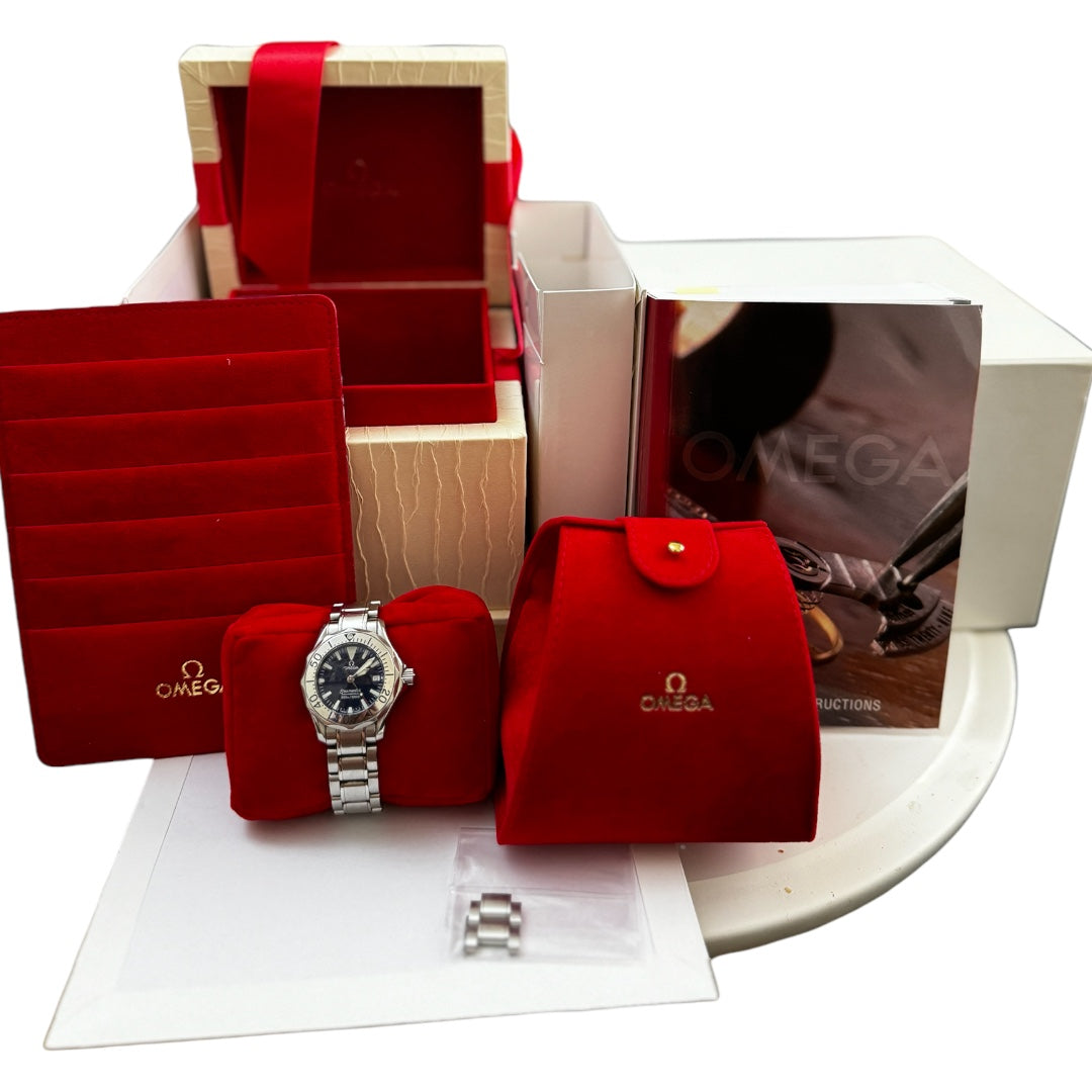 Omega Seamaster Professional 300m/1000ft