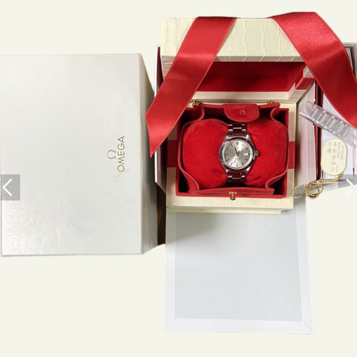 Omega Sea Master Aqua Terra
